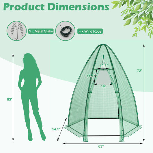 5.5 x 5.5 x 6 Feet Portable Mini Greenhouse with All-Weather PE Cover W2B