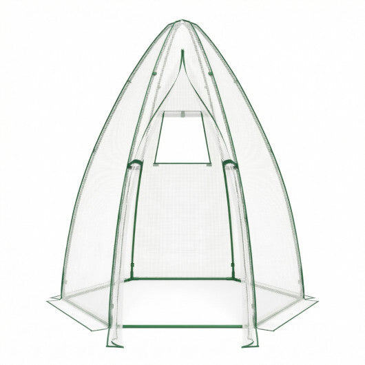 5.5 x 5.5 x 6 Feet Portable Mini Greenhouse with All-Weather PE Cover W2B