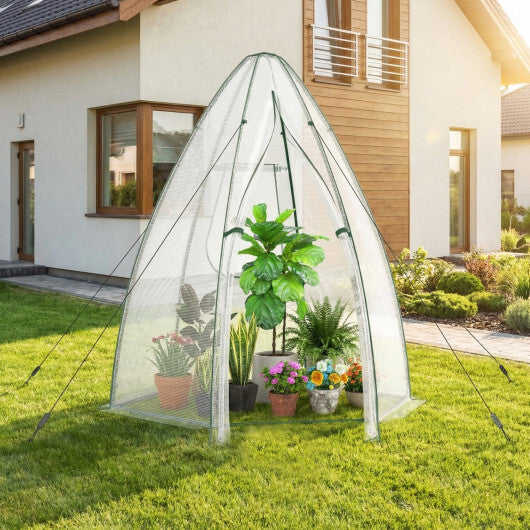 5.5 x 5.5 x 6 Feet Portable Mini Greenhouse with All-Weather PE Cover W2B