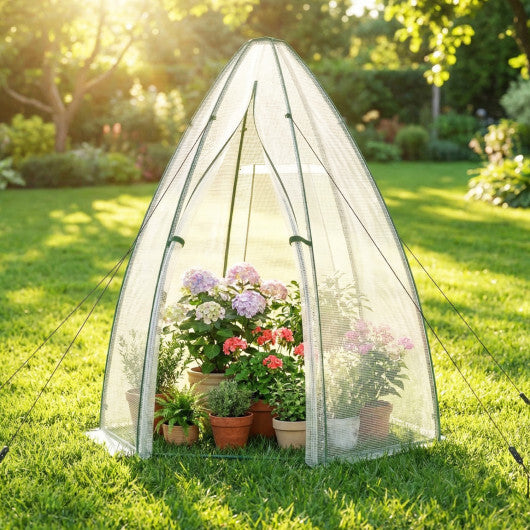 5.5 x 5.5 x 6 Feet Portable Mini Greenhouse with All-Weather PE Cover W2B