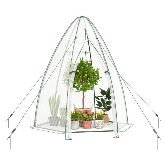 5.5 x 5.5 x 6 Feet Portable Mini Greenhouse with All-Weather PE Cover W2B