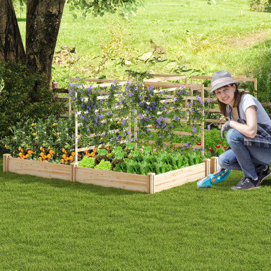 Raised Garden Bed with 2 Planter Boxes and 3 Trellis-Natural W2B