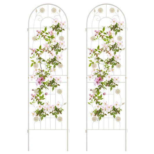 2 Pack 71 x 20 Inch Metal Garden Trellis Rustproof Plant Support for Climbing Plants-Green W2B