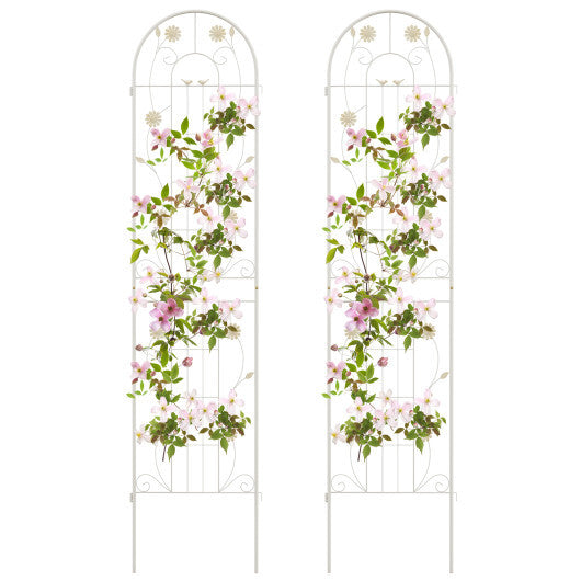 2 Pack 86.5 x 20 Inches Metal Garden Trellis for Climbing Plants-Green W2B