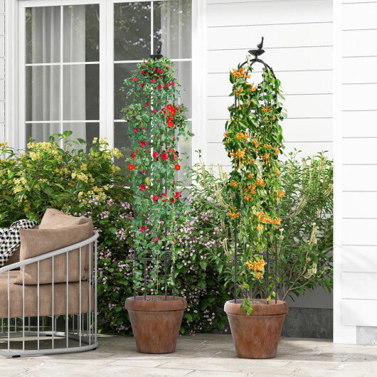 2-Pack Garden Obelisk Trellis for Climbing Plants-Black W2B