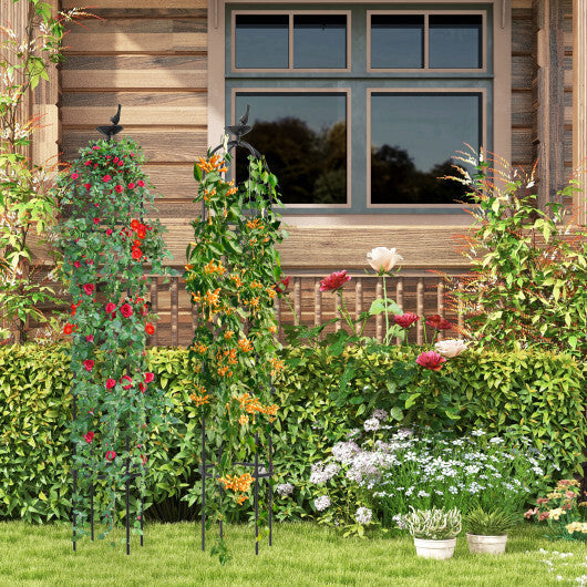 2-Pack Garden Obelisk Trellis for Climbing Plants-Black W2B