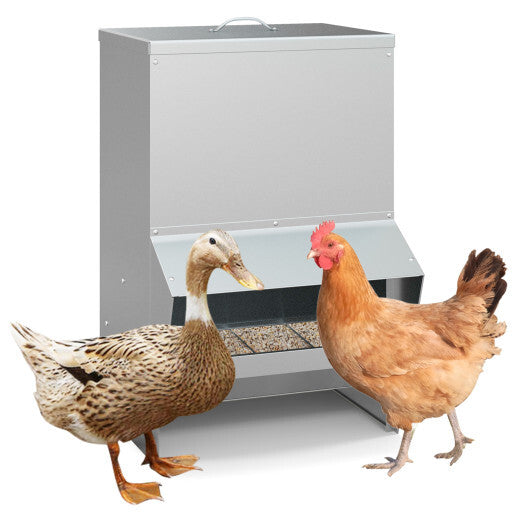 Galvanized Metal Poultry Feeder - Deal for Only $64!