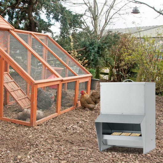 Galvanized Metal Poultry Feeder - Deal for Only $64!