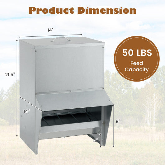 Galvanized Metal Poultry Feeder - Deal for Only $64!