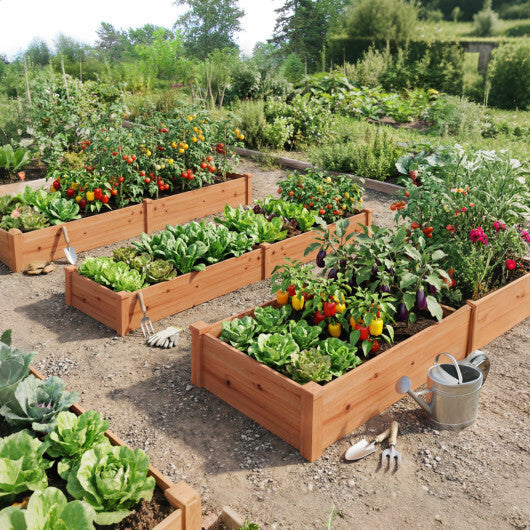 Set of 2 Wooden Vegetable Raised Garden Bed for Backyard-Orange W2B