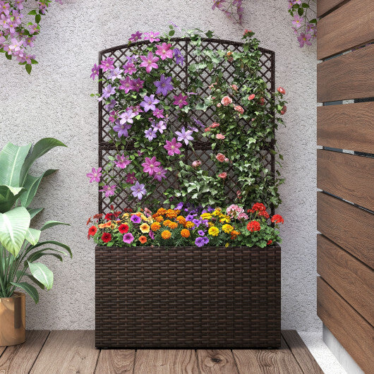 49 Inch Raised Garden Bed with Trellis and Wicker Planter Box-Brown W2B