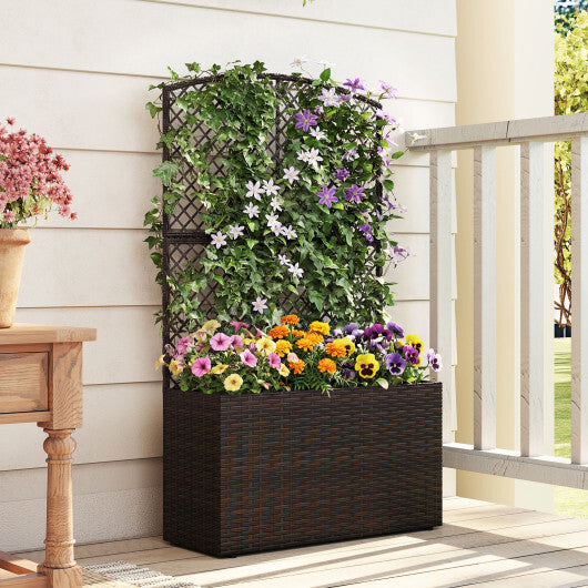 49 Inch Raised Garden Bed with Trellis and Wicker Planter Box-Brown W2B
