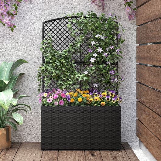49 Inch Raised Garden Bed with Trellis and Wicker Planter Box-Brown W2B