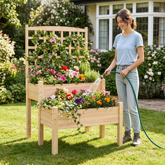 Raised Garden Bed with Trellis 2-Tier for Outdoor Climbing Plants-Natural W2B