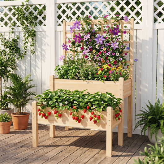 Raised Garden Bed with Trellis 2-Tier for Outdoor Climbing Plants-Natural W2B