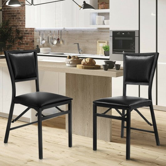 Set of 2 Metal Folding Dining Chair with Space Saving Design W2B