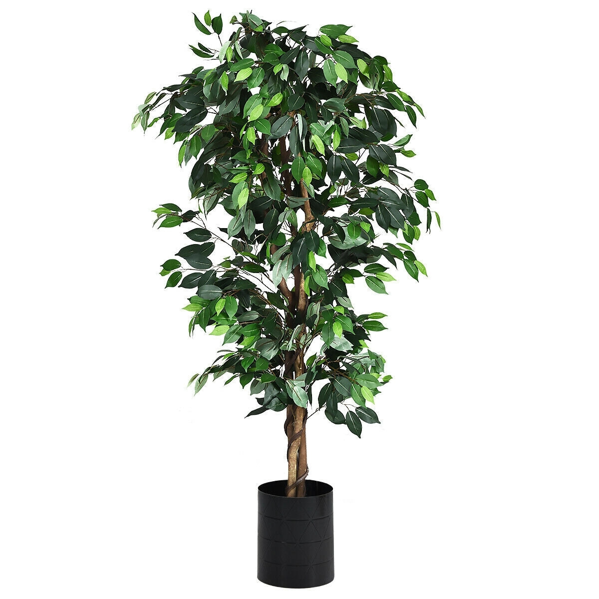 6 Feet Artificial Ficus Silk Tree - Color: Green W2B