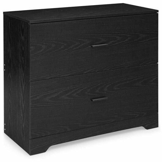 2-Drawer Lateral File Cabinet with Adjustable Bars for Home and Office-Black W2B