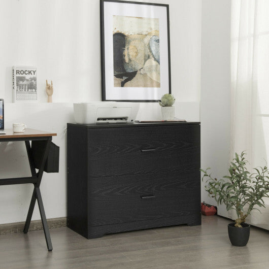 2-Drawer Lateral File Cabinet with Adjustable Bars for Home and Office-Black W2B