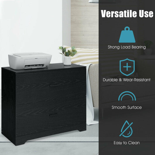 2-Drawer Lateral File Cabinet with Adjustable Bars for Home and Office-Black W2B