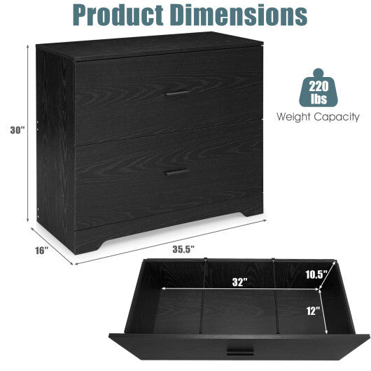 2-Drawer Lateral File Cabinet with Adjustable Bars for Home and Office-Black W2B
