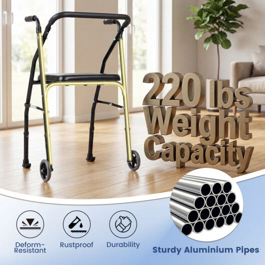 Lightweight Aluminum Mobility Walker for Seniors with 2 Wheels 5-Level Adjustable Height and Padded Seat-Black W2B