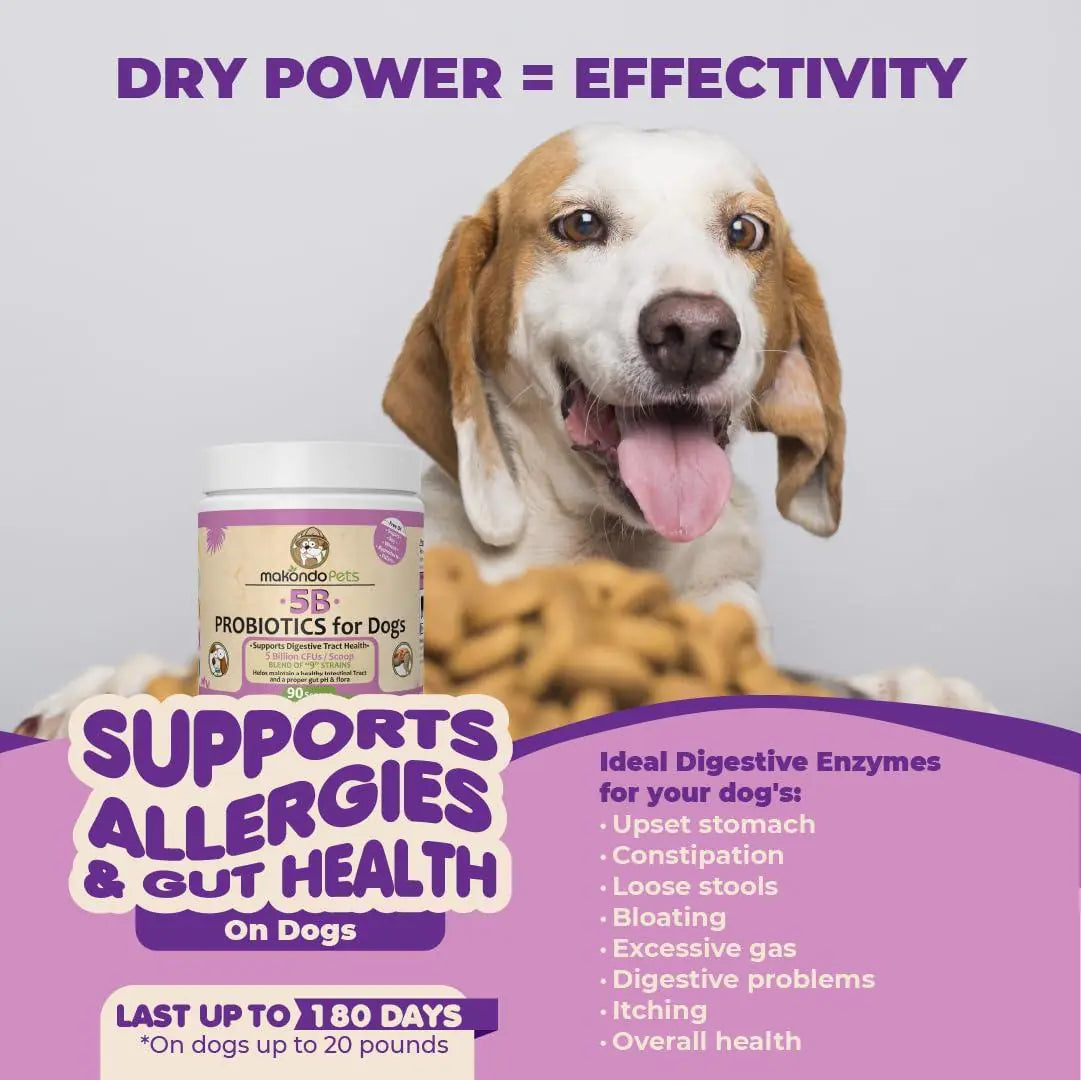Probiotics for Dogs Puppies Extra Strength 9 Species 5 Billion CFU per Scoop of Best YouTube Store