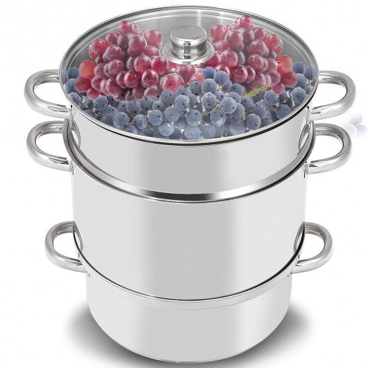 11-Quart Stainless Steel Pan Fruit Juicer Steamer W2B