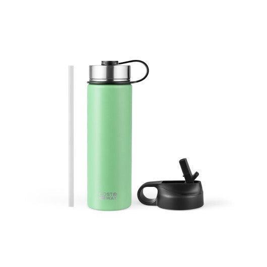22 Oz Double-walled Insulated Stainless Steel Water Bottle with 2 Lids and Straw-Green - Color: Green W2B