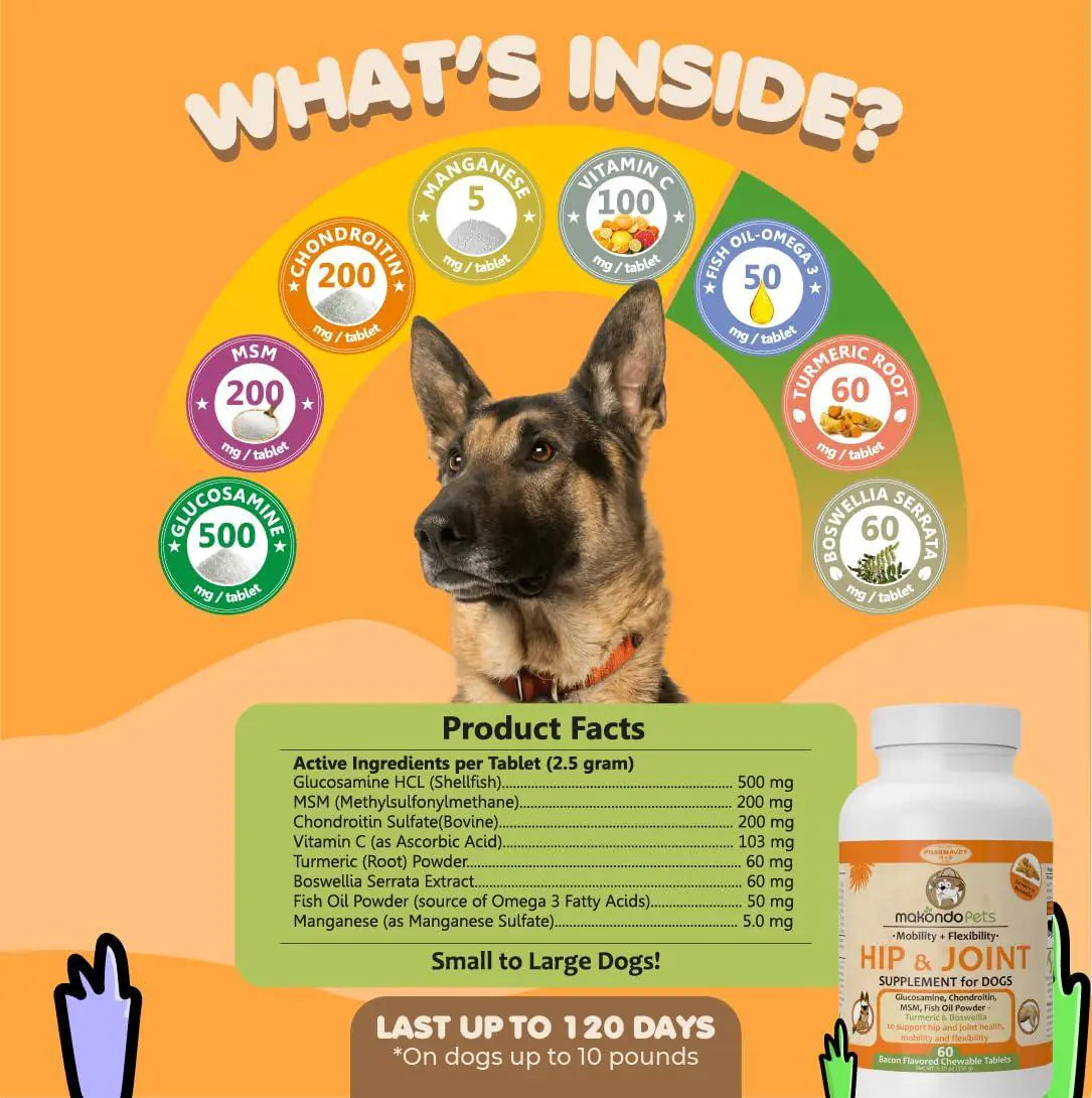 Dog Hip and Joint Supplement with Glucosamine Turmeric for Dogs Chondroitin MSM Best YouTube Store