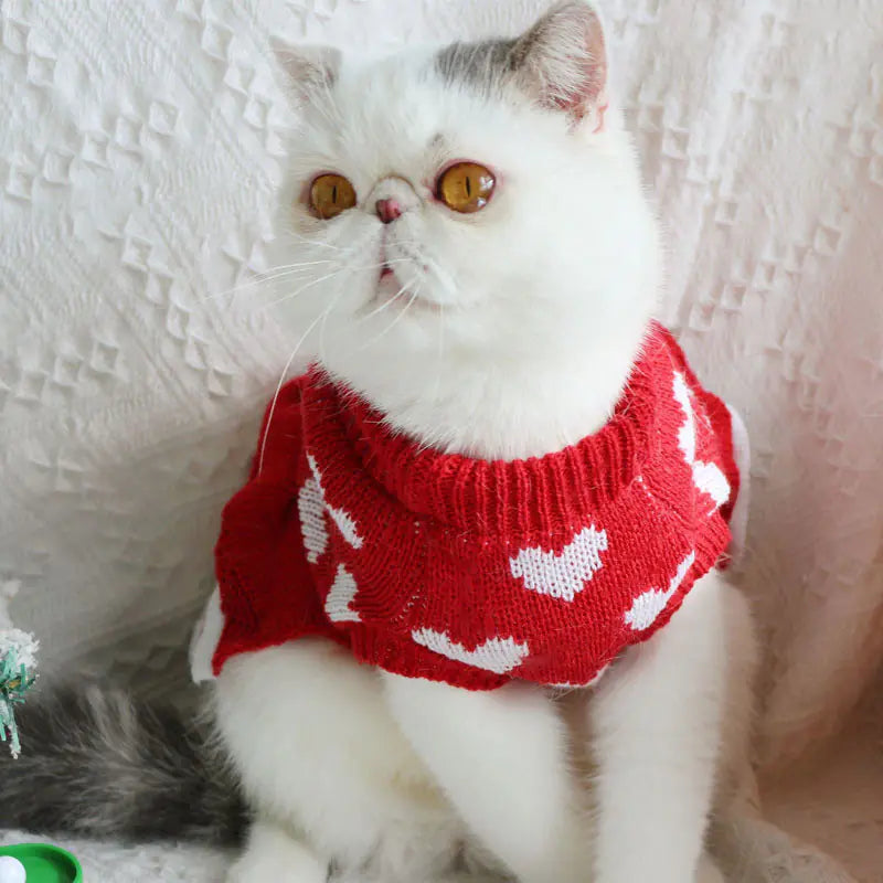 Festive Princess Dress Sweater for Dogs at Christmas Best YouTube Store