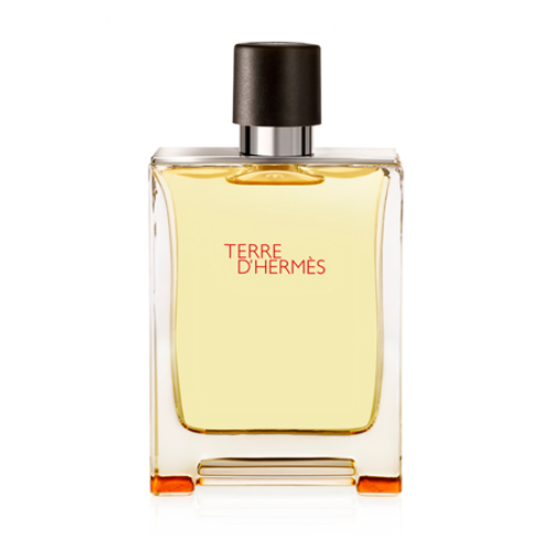 Terre D'Hermes Eau De Toilette W2B