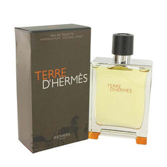Terre D'Hermes Eau De Toilette W2B