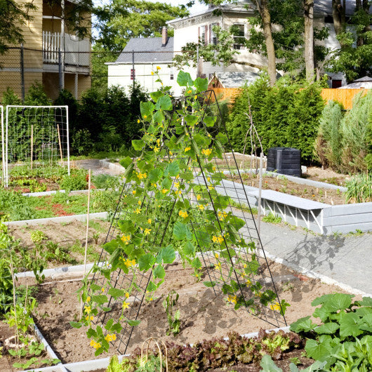 A-Frame Garden Trellis for Climbing Plant with Ground Stake and Cable Tie-Green W2B