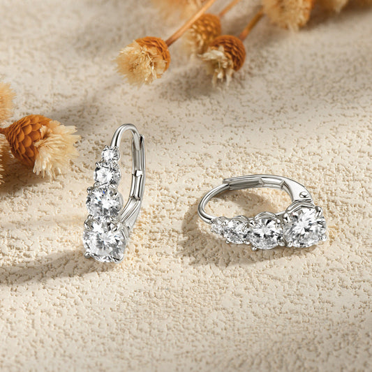 Women's Fashion Personalized New Meteor Earrings LadyShow.Store