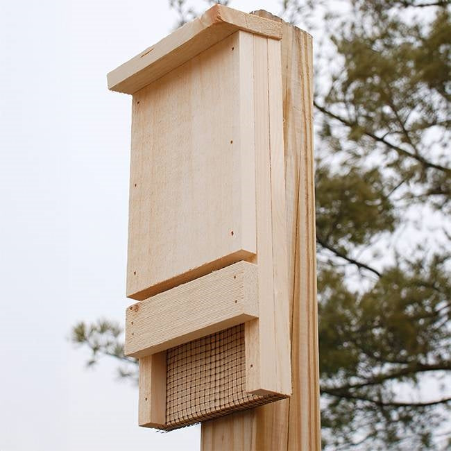 Outdoor Wood Bat House Kit - Holds up to 12 Bats - Made in USA FastFurnishings