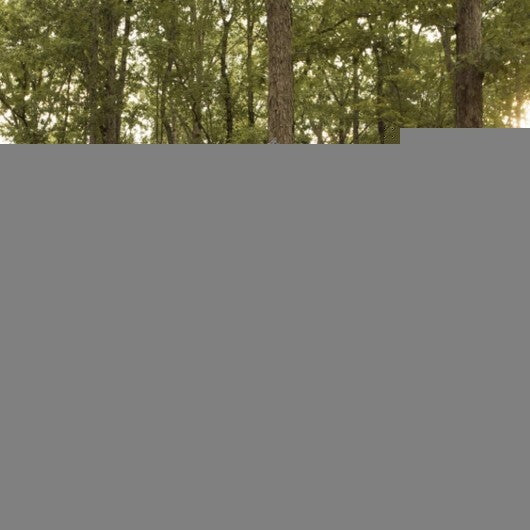 Ground Hunting Blind Portable Deer Pop Up Camo Hunter