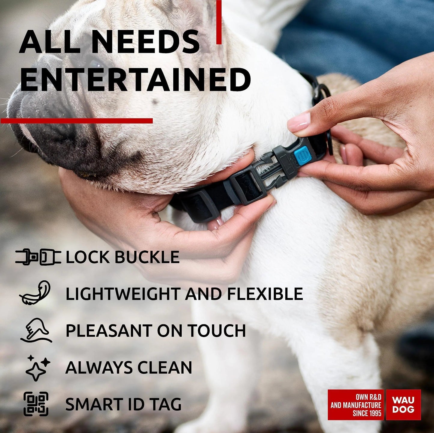 Black Waterproof Dog Collar Adjustable for Medium Dogs 1016 inch Neck Best YouTube Store