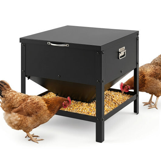 Large Capacity Chicken Feeding Box with Openable Lid-Black W2B