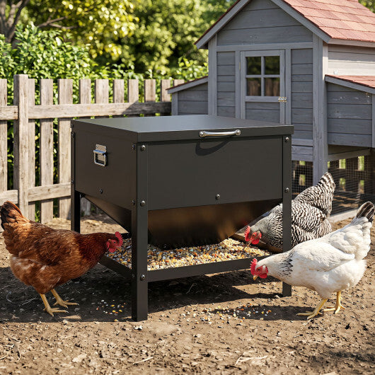 Large Capacity Chicken Feeding Box with Openable Lid-Black W2B