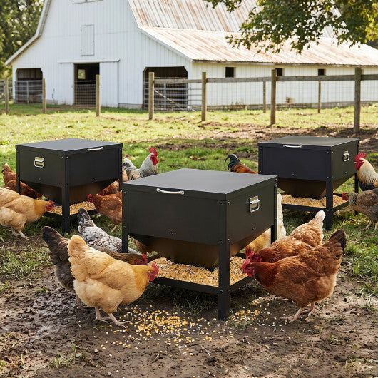 Large Capacity Chicken Feeding Box with Openable Lid-Black W2B
