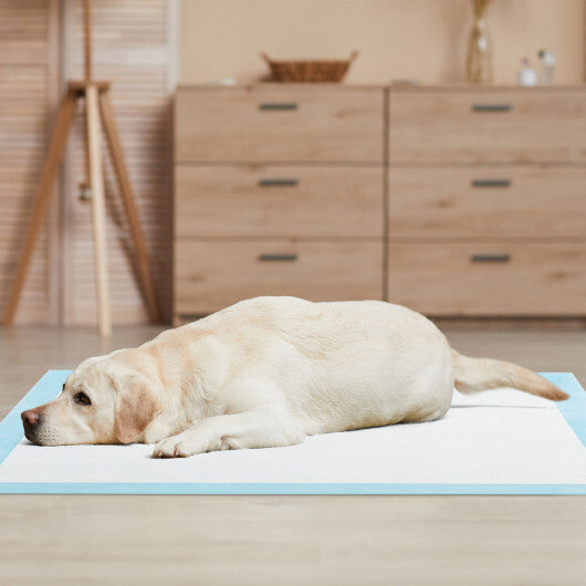Dog and Puppy Pee Pads 36" x 36" (100 Counts) for Potty Training-Blue W2B