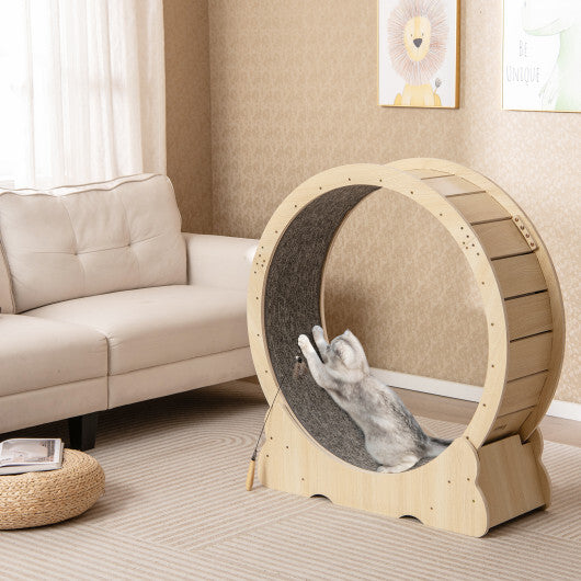 40 Inch Large Cat Exercise Wheel with Lockable Mechanism and Carpeted Runaway for Indoor Cats-Natural
