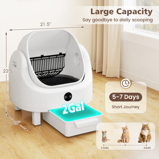 Self-Cleaning Open-Top Cat Litter Box with APP Control for Multi-Cat W2B