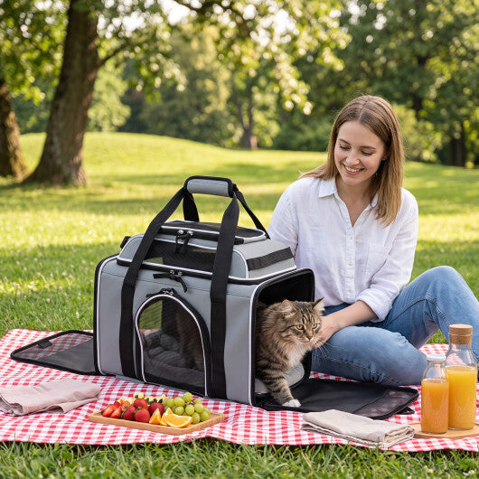 Foldable Pet Carrier with Wheels Airline Approved Rolling Cat and Dog Carrier-Black W2B
