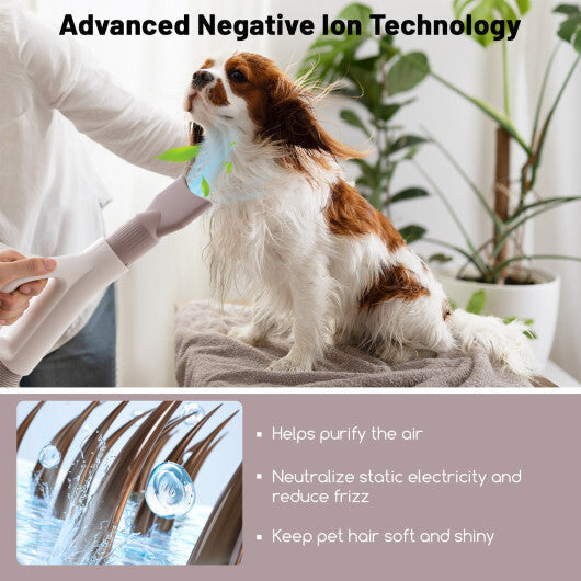 Dog Cat Hair Blower with Negative Ion Function and Adjustable Temperature W2B