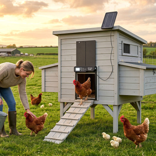 Solar Powered Automatic Chicken Coop Door W2B