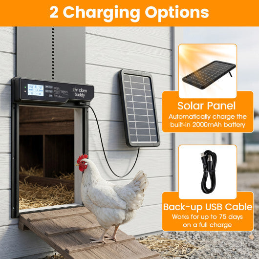Solar Powered Automatic Chicken Coop Door W2B