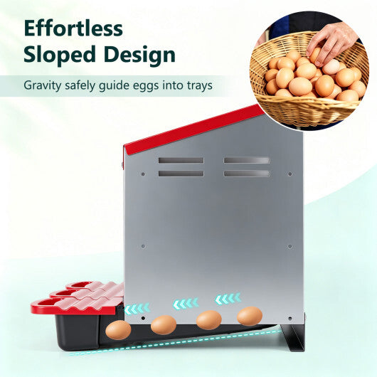 3-Compartment Roll Away Metal Chicken Nesting Box for Hens-Green W2B
