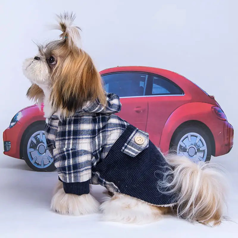 Teddy VIP Pomeranian Small Dog Cashmere Coat Best YouTube Store